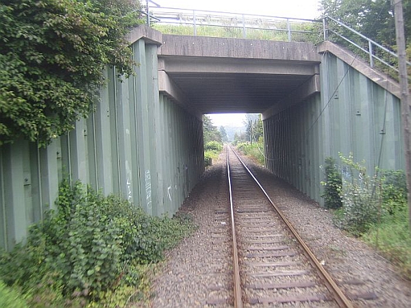 Ruhrtalbahn024.jpg