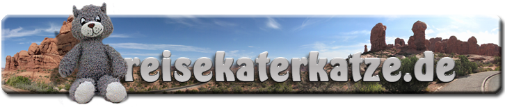 Reisekaterkatze